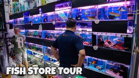 buying fish online singapore
